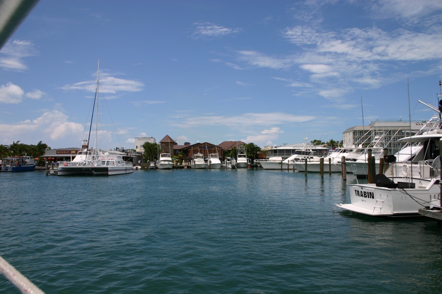 snorkeling Key West 02