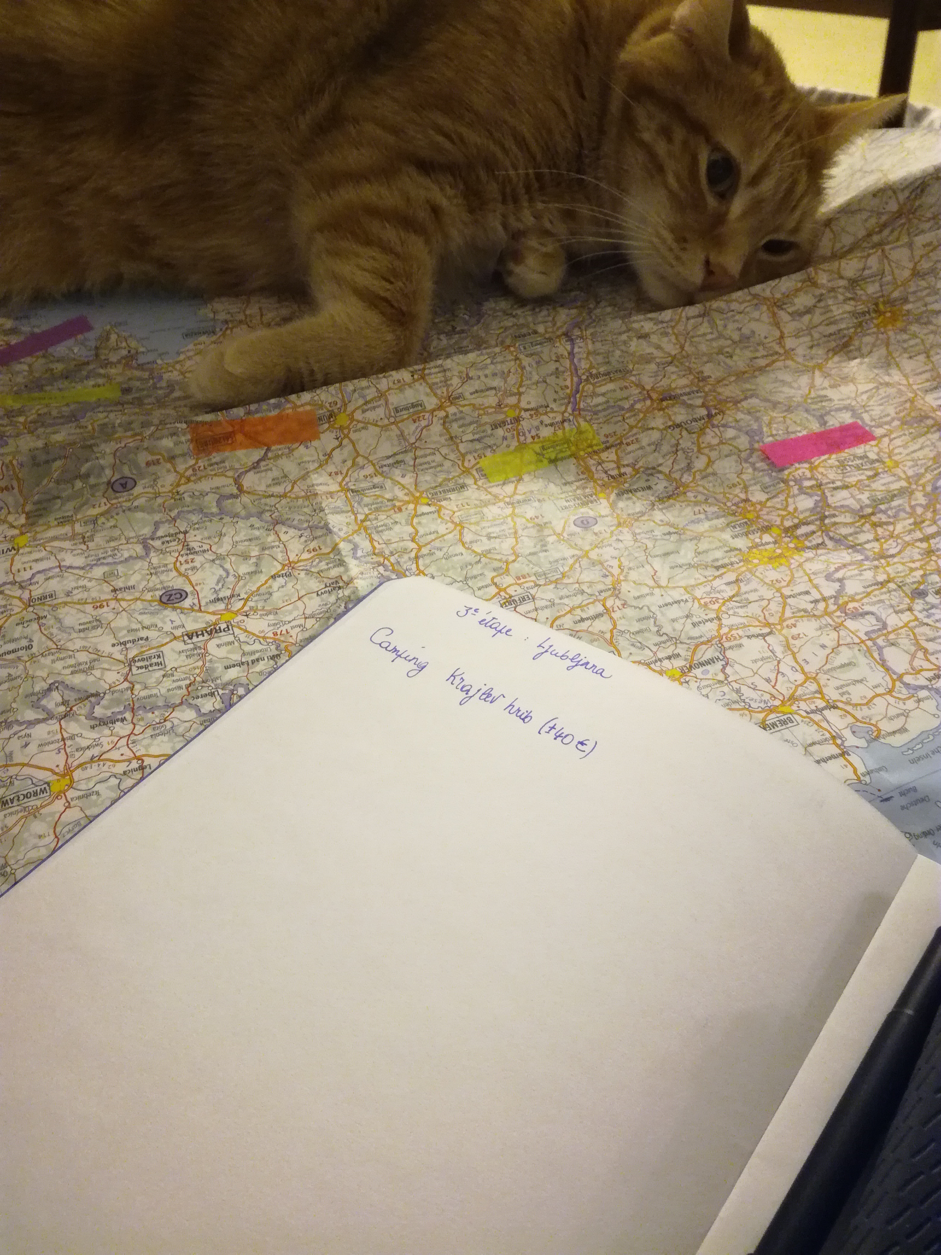 Le chat Roger et la carte de Croatie