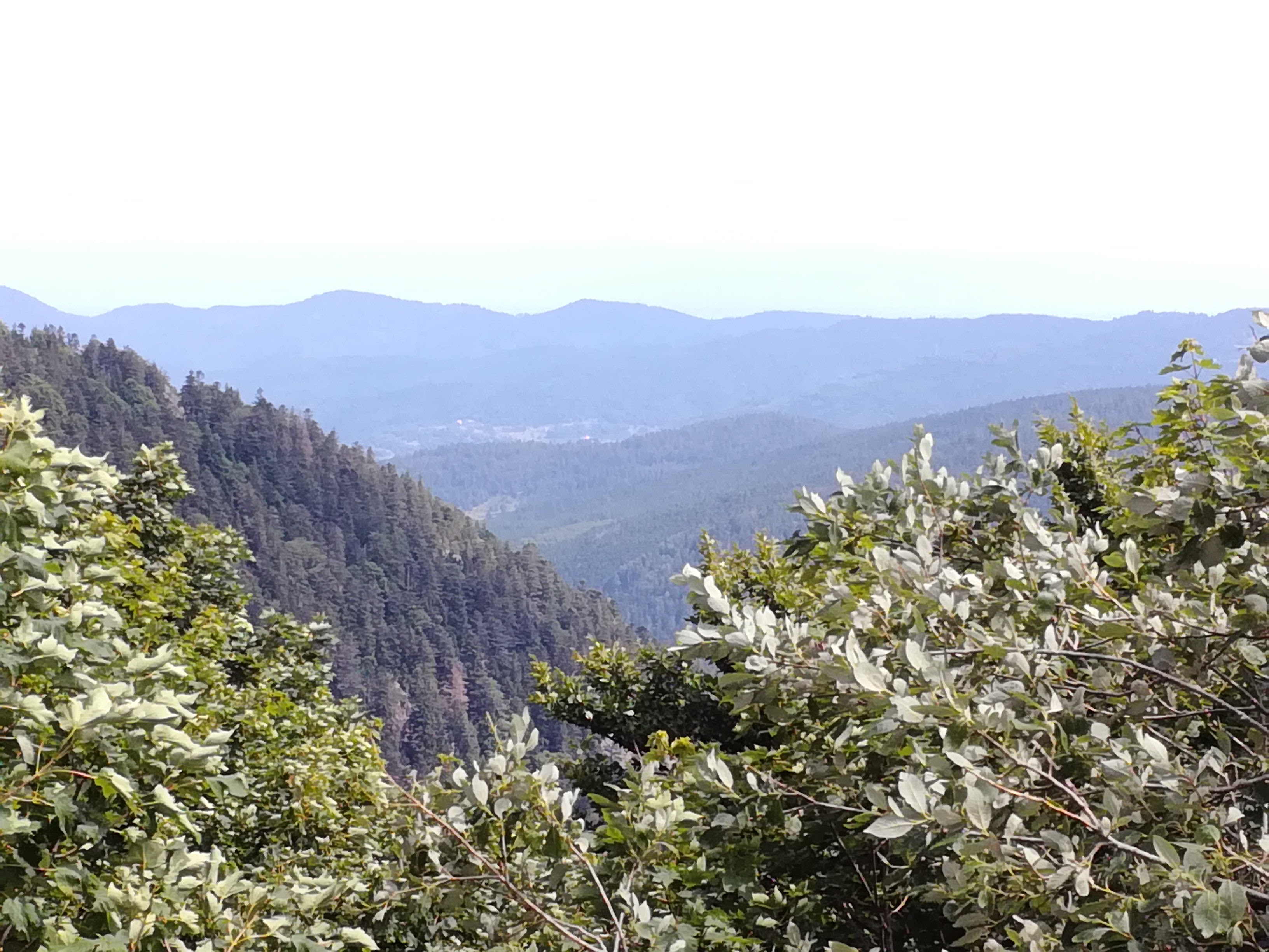 Route des Crêtes - Vosges - Schlucht